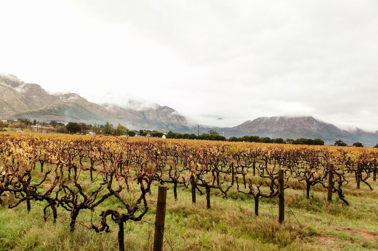 Basse Provence Country House Bed & Breakfast Franschhoek Exterior foto