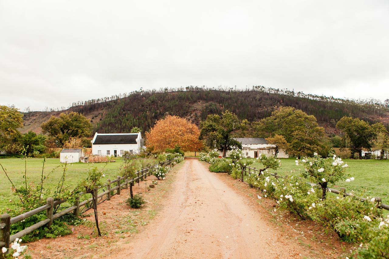 Basse Provence Country House Bed & Breakfast Franschhoek Exterior foto